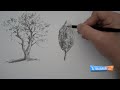 Draw