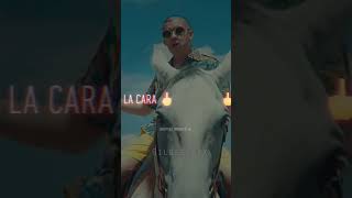 Bad Bunny - Tu Metes Cabra Letras-Lyris