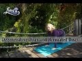 Degenerative Discs and Herniated Discs