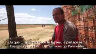 David, Donativo Sur Le Camino - Reportage