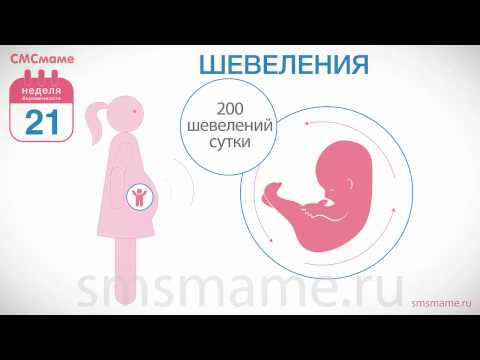 Самочувствие на 21 неделе беременности