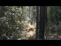 Brewton AL video: Dan on his WR250F