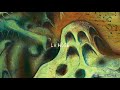 Le Sein Matériel Video preview