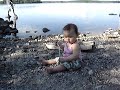 Summer Beaver 2008