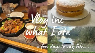 Vlog Of A Few Days - The One Where I Am Tired