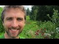 3 Organic Gardening Tips (Some Of Them You Haven't Heard Before)