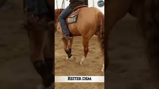 Die Geheime Kraft Der Sporen Beim Reiten
