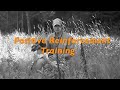 Free Hunting Dog Training Videos - Willow Creek Kennels - Positive Reinforcement Training