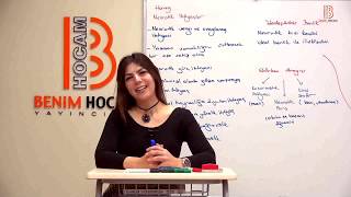 10 Ayşegül Aldemi̇r - Polojik Danışma Kuramları - X Öabt-Pdr2019
