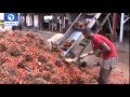 Eartfile Focuses On Renewable Energy PT1