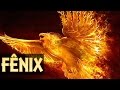 Fênix: A Ave Imortal - Bestiário Mitológico #03 - Foca na História (Don Foca)