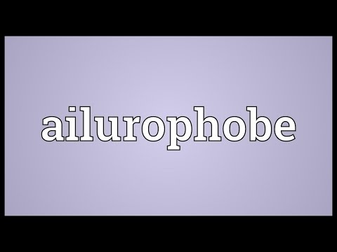Header of ailurophobe