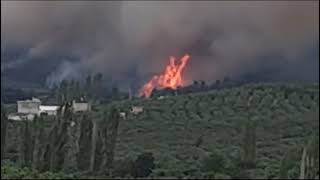 Bursa Mudanya, Göynüklü Altıntaş Arasında Yangın