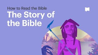 Video: Story of the Bible - Bible Project