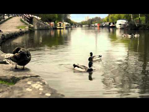 Nikon D800 - 720p 60fps Video Test (Part2) at the canal - color corrected