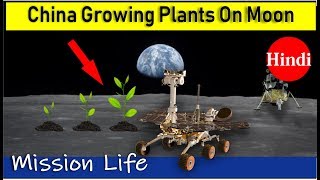 China Growing Plants On Moon || First Time In Humankind (आखिर पौधा उगाने में क्यों जुटा है चीन?)