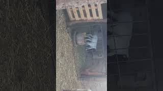 Tarbiyit Deman Kifach T3Aml Lah Mabarik N3Ja Walda 3