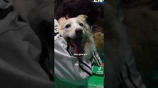 Jakes Aussie Girl Layla Meeting The Members And Brings Out Their English Skills