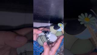 Beauty Blender