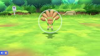 Shiny Vulpix Encounter In Pokemon Let's Go Eevee Pikachu