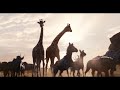 The Lion King Movie Clip - Circle of Life (2019) | Movieclips Trailers