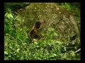 Tribe meets white man for the first time - Original Footage (1/5)