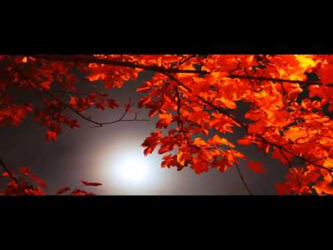 YUSUF GEBZELİ Tala AL Badru Alayna