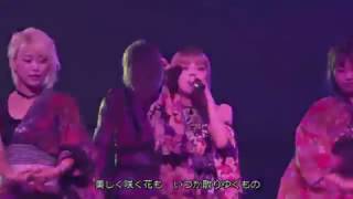Garnidelia 極楽淨土 Live Garnidelia 極楽淨土 Live