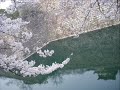 著作権フリー 無料 三味線 生演奏 祇園をイメージ royalty free music shamisen