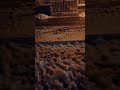 Kako pljunuti po zimi! (FOTO) (VIDEO) (SISE)