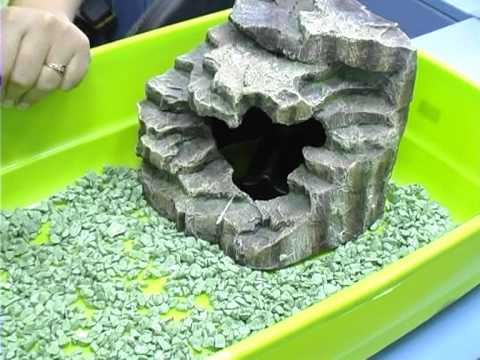 Уход за крабом в домашних условиях