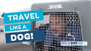 We Made Our Ceo Travel In A Dog Crate