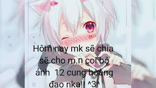 B? ?nh 12 cung anime siu ?p?| Black Cat VN
