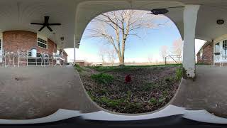 Elmdale Estate Bird Cam 4.1.2019
