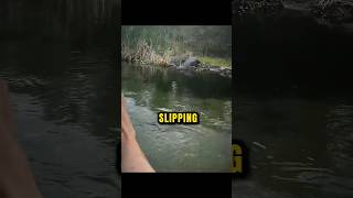 She Thought The Alligator Was Fake...