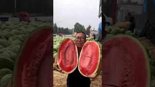 Enjoy A Very Big Watermelon With Dance