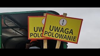 Hubertusjagd 2018 in Polen - Drückjagd - Polowanie Zbiorowe - Drivenhunt- Drivjakt