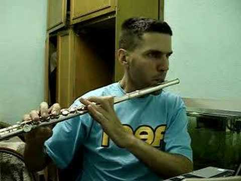 flauta transversal. flauta transversal. 1:14. music art life.