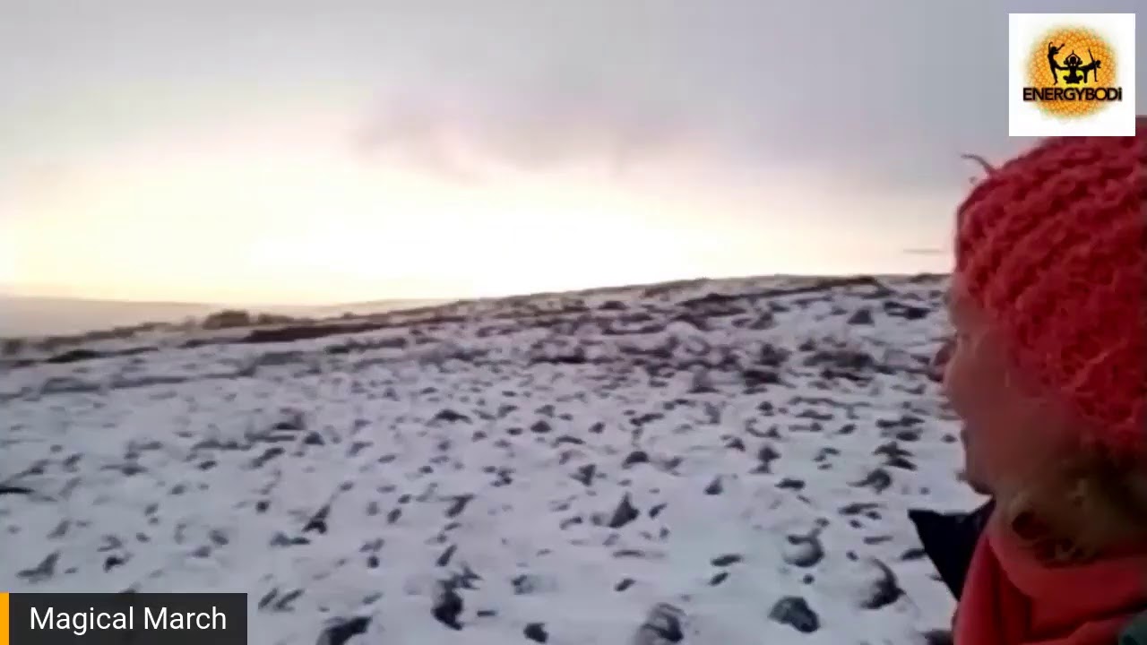 Walk Well