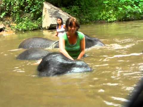 Sanneke zwemt met een olifant Chiang Mai Thailand