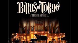 Watch Birds Of Tokyo Violet video