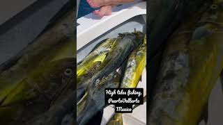 Mahi madness 😳