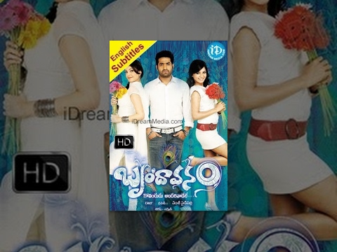 Brindavanam (2010) - Full Length Telugu Film - NT Rama Rao Jr...