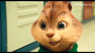 Atmosfera - Tak Tau Malu Chipmunks