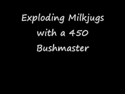 bushmaster acr recall. 450 Bushmaster shooting