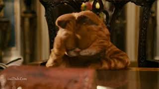 Garfield Cat Movie M Punch Scene