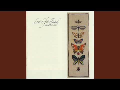 The Past Floats Like Stones Video
