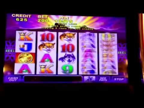 Ameristar casino slot machines