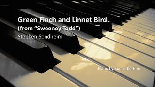 Watch Stephen Sondheim Green Finch And Linnet Bird video