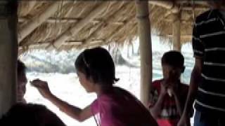 Sunderbans Adventure.mov